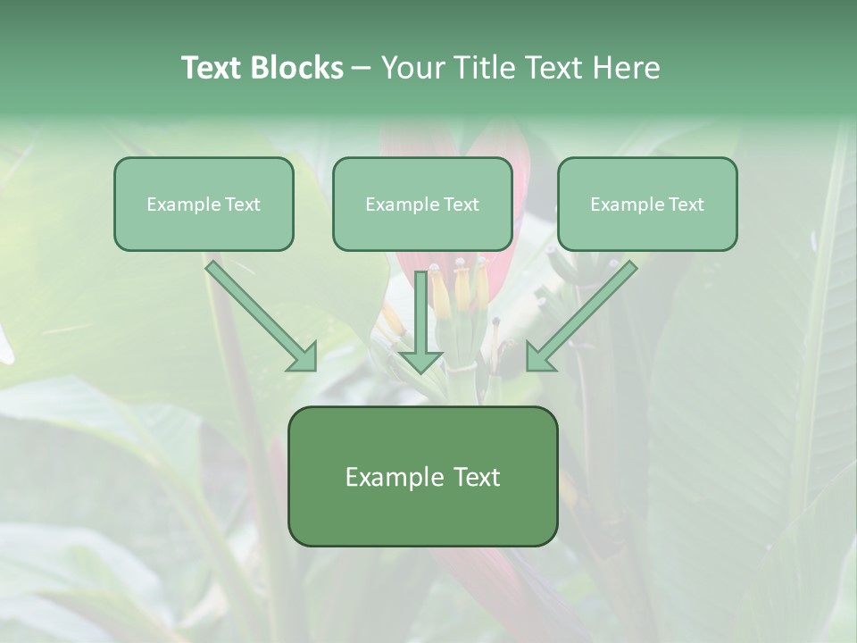 Season Garden Blooming PowerPoint Template