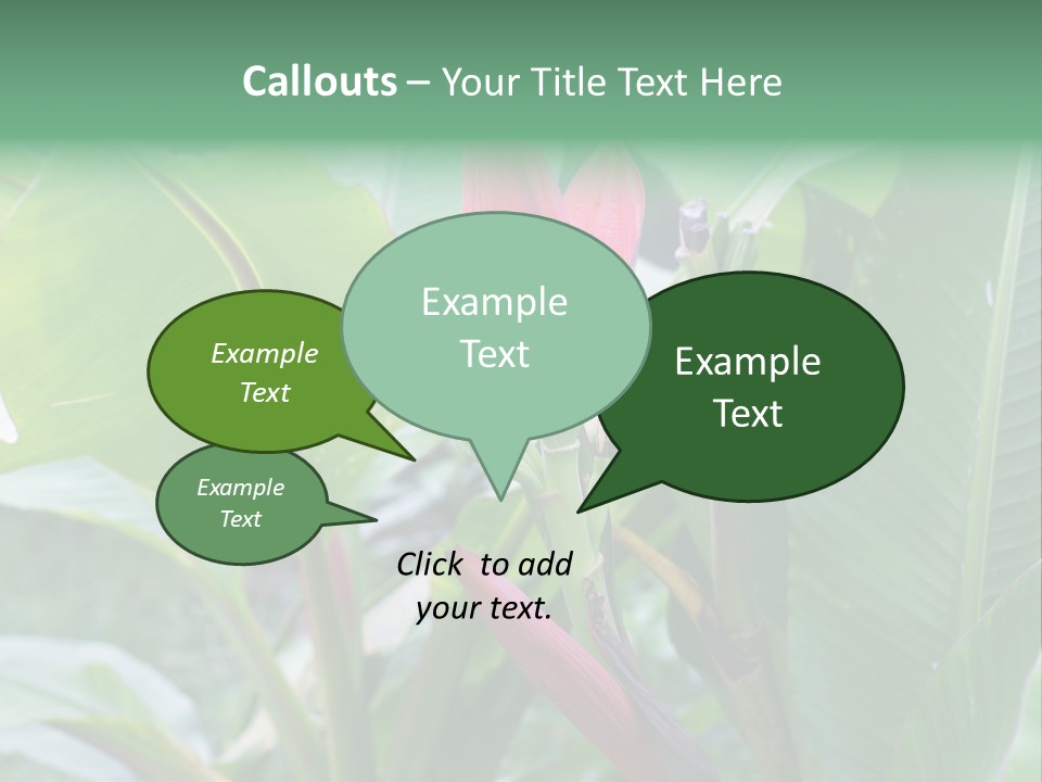 Season Garden Blooming PowerPoint Template