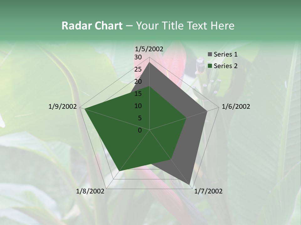 Season Garden Blooming PowerPoint Template
