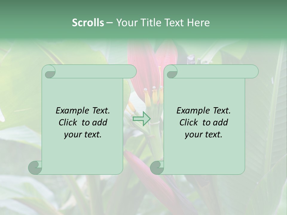 Season Garden Blooming PowerPoint Template