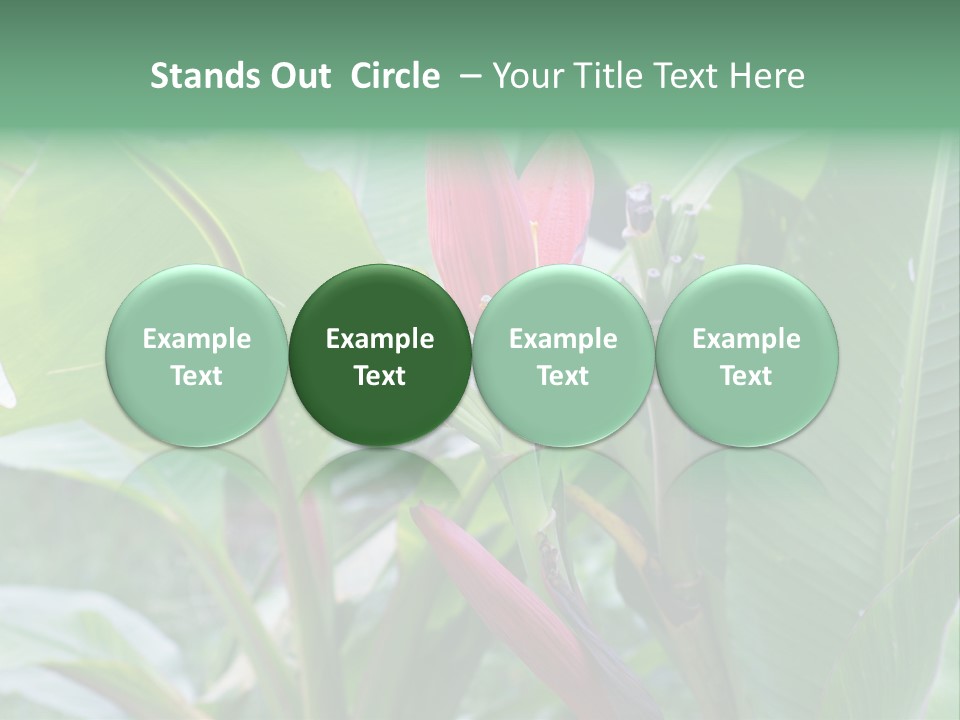 Season Garden Blooming PowerPoint Template