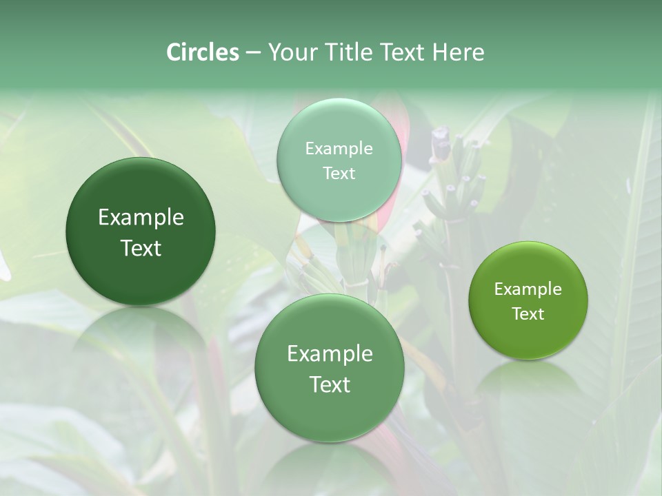 Season Garden Blooming PowerPoint Template
