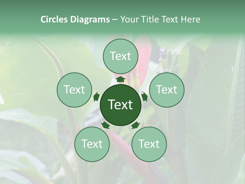 Season Garden Blooming PowerPoint Template