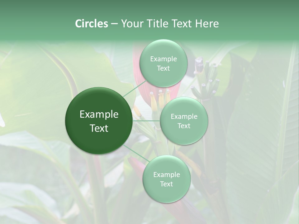 Season Garden Blooming PowerPoint Template