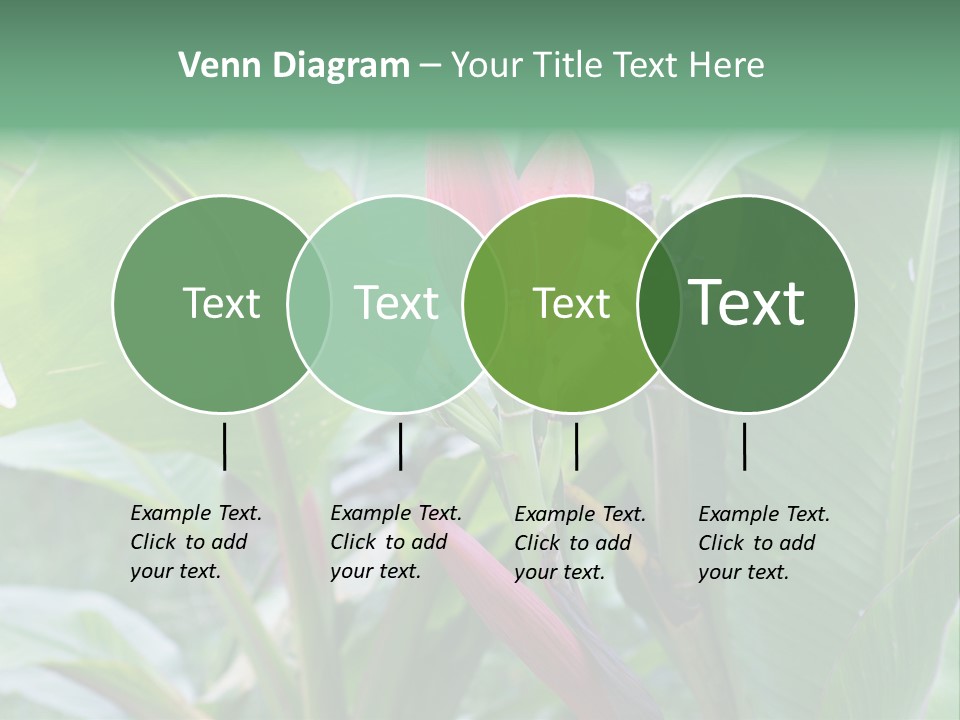 Season Garden Blooming PowerPoint Template