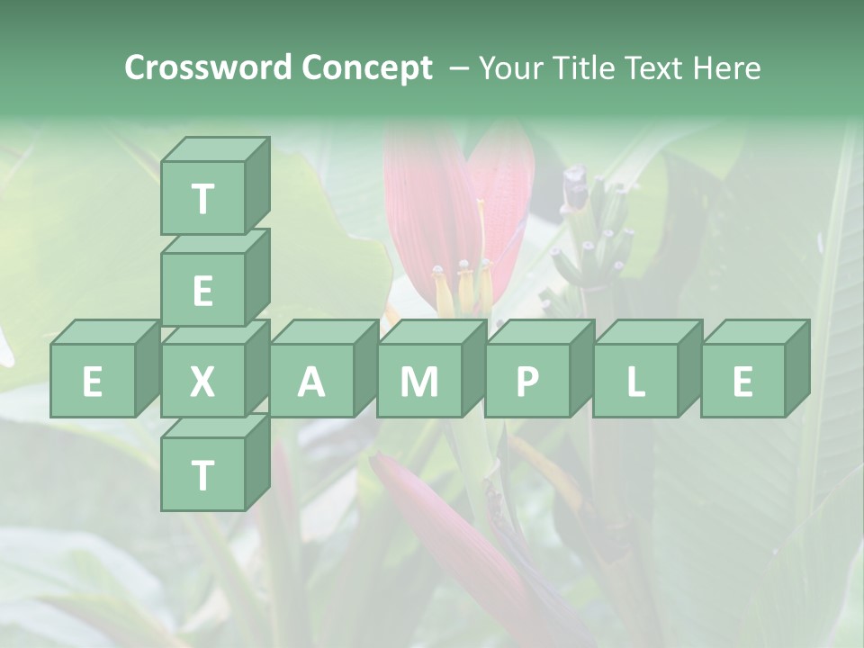 Season Garden Blooming PowerPoint Template