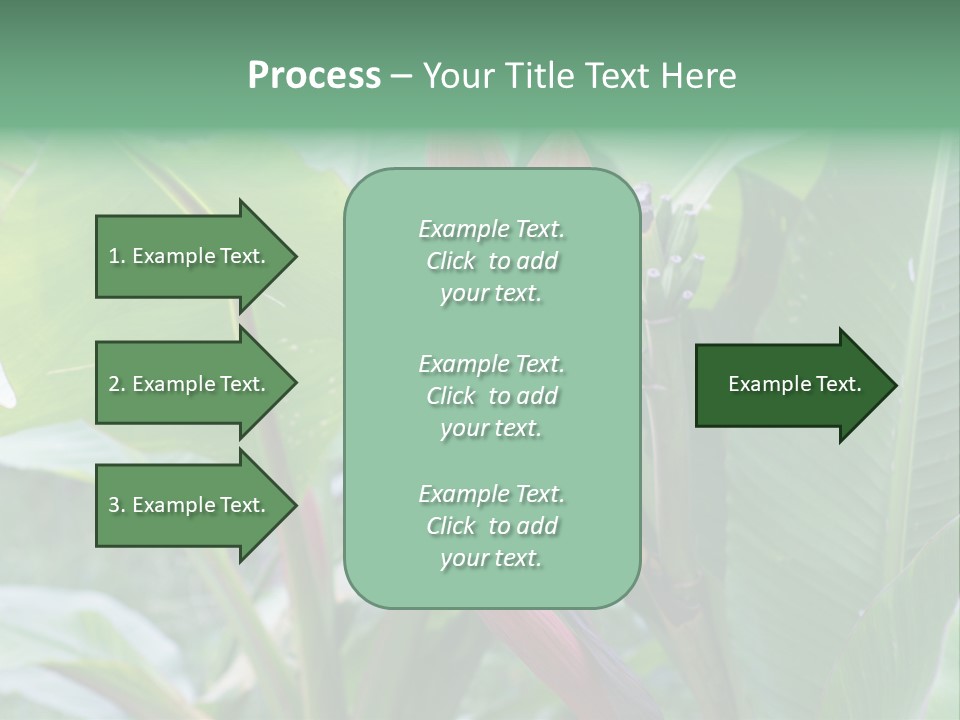 Season Garden Blooming PowerPoint Template