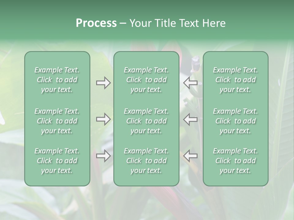 Season Garden Blooming PowerPoint Template