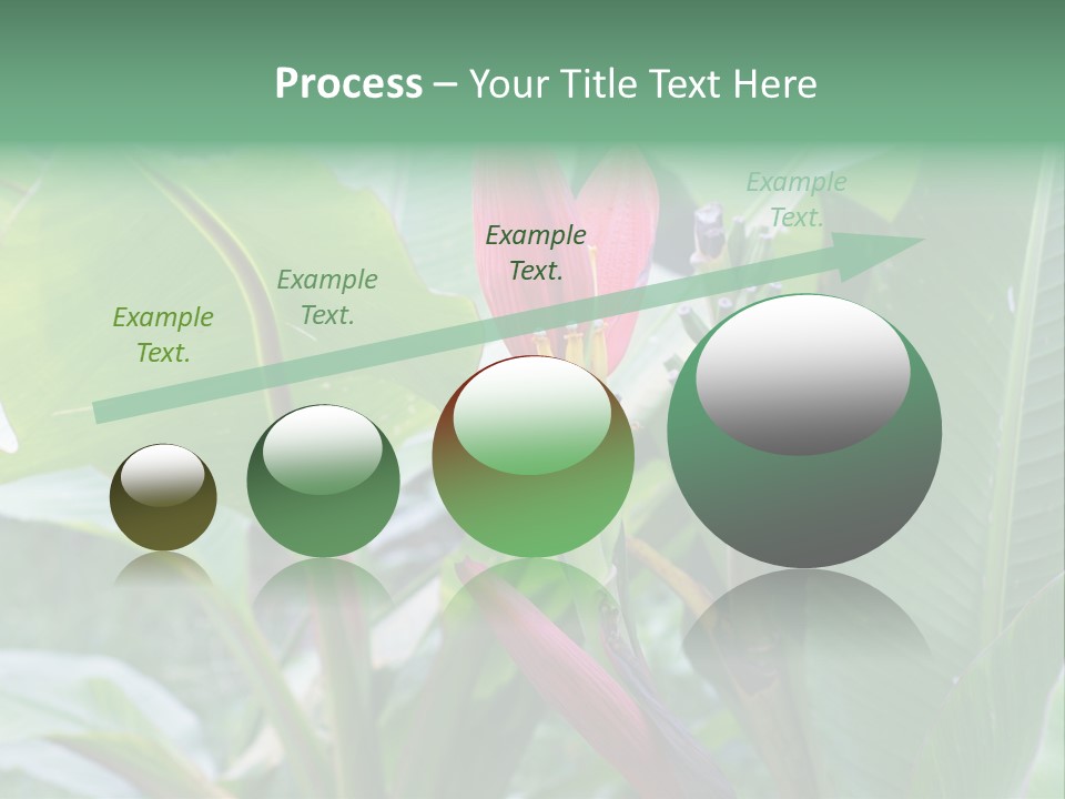 Season Garden Blooming PowerPoint Template