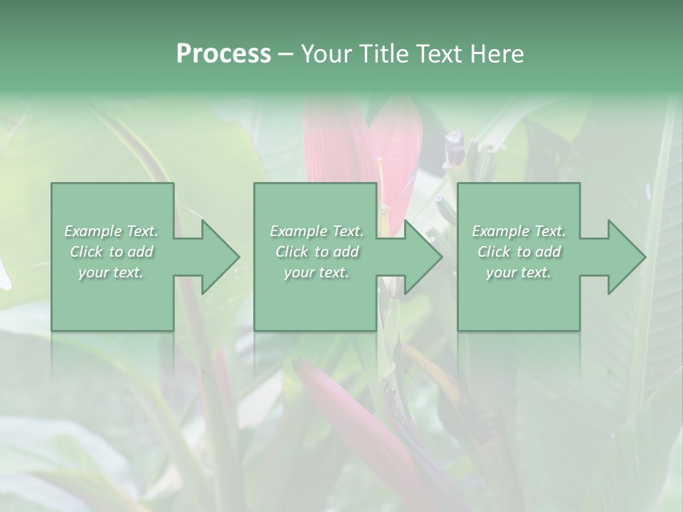 Season Garden Blooming PowerPoint Template