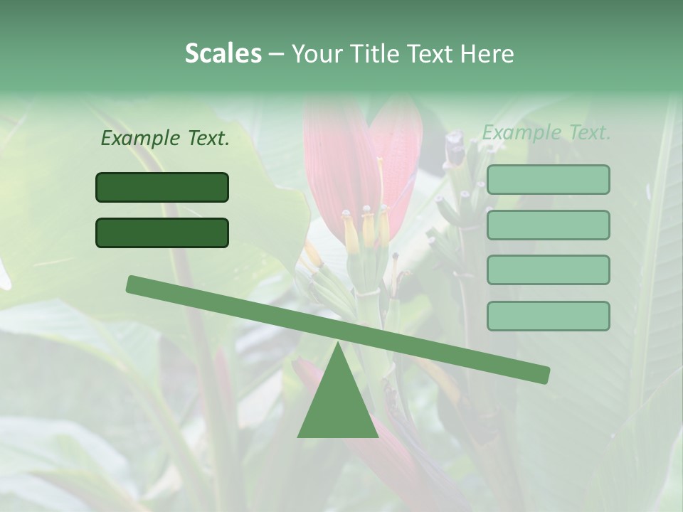 Season Garden Blooming PowerPoint Template