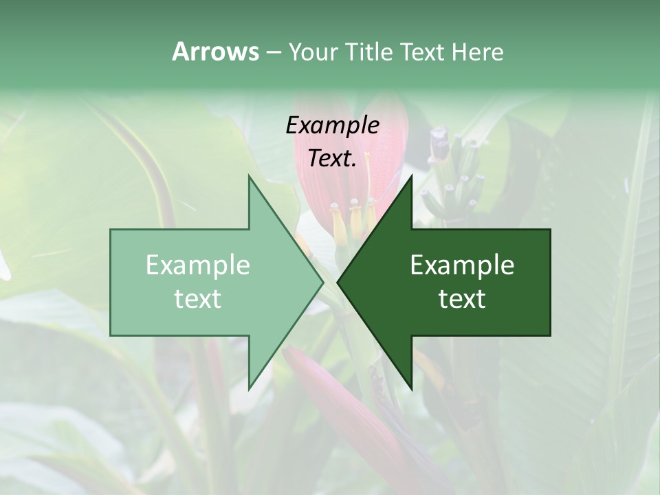 Season Garden Blooming PowerPoint Template