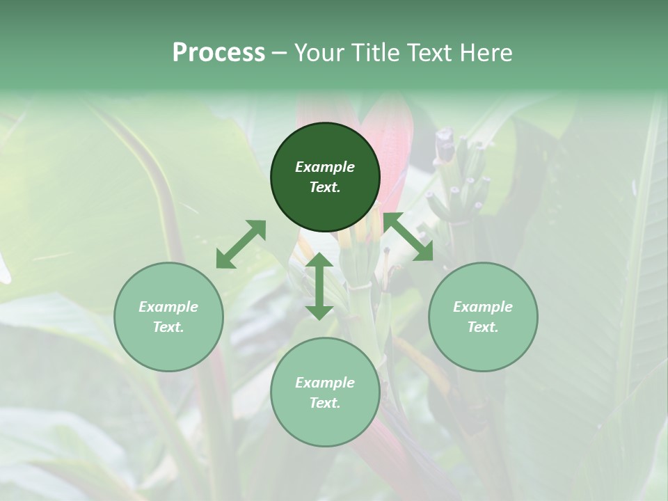 Season Garden Blooming PowerPoint Template