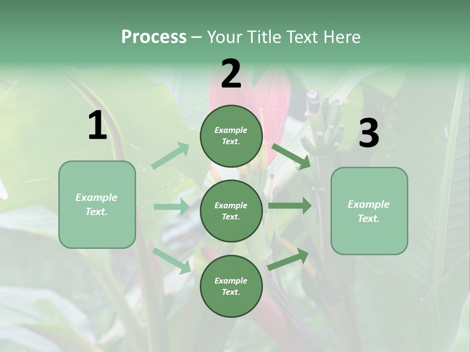 Season Garden Blooming PowerPoint Template