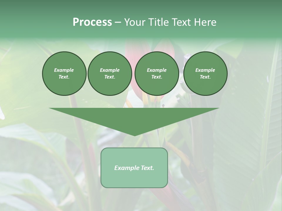 Season Garden Blooming PowerPoint Template