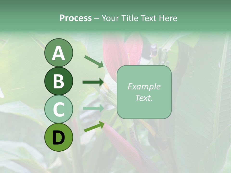 Season Garden Blooming PowerPoint Template