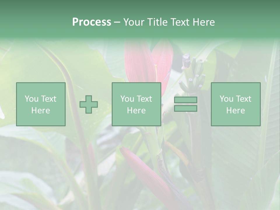 Season Garden Blooming PowerPoint Template