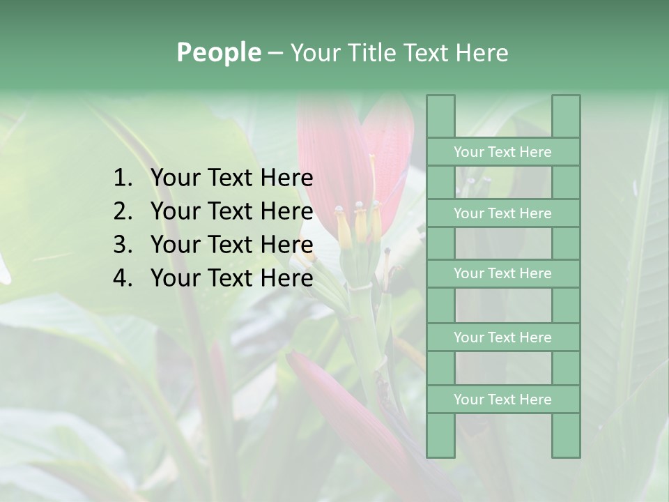 Season Garden Blooming PowerPoint Template