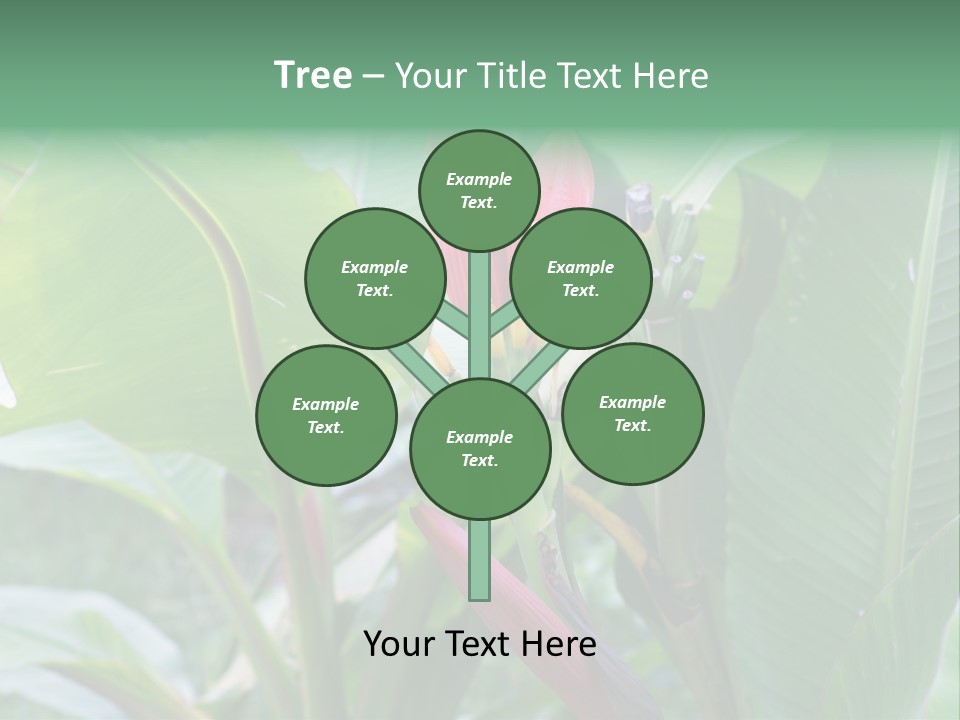 Season Garden Blooming PowerPoint Template