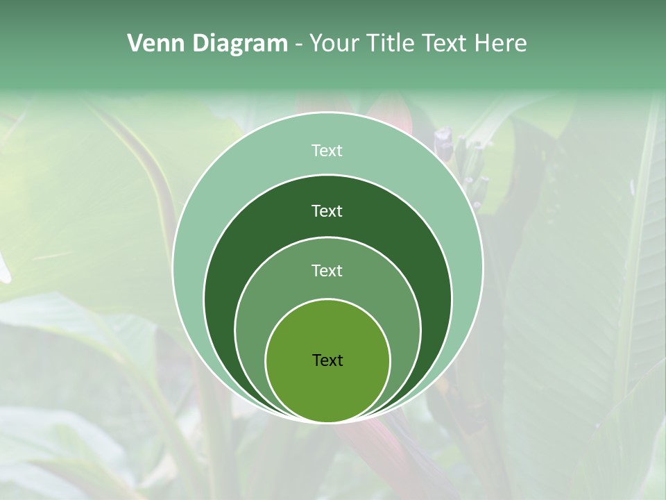 Season Garden Blooming PowerPoint Template