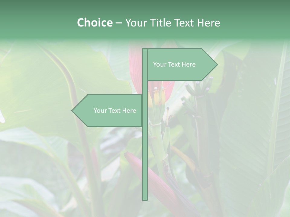 Season Garden Blooming PowerPoint Template