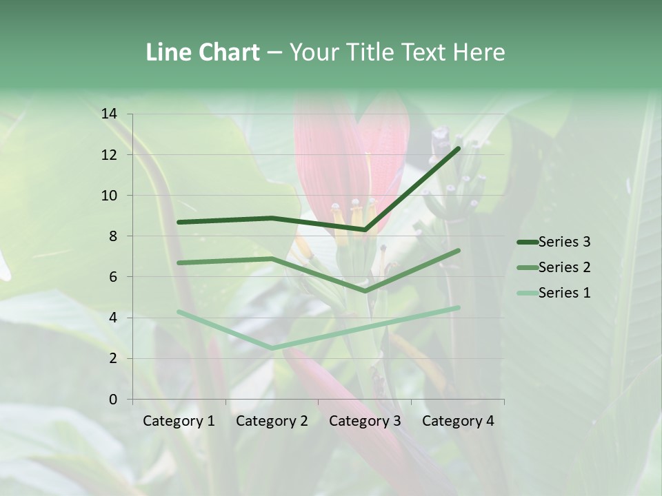 Season Garden Blooming PowerPoint Template
