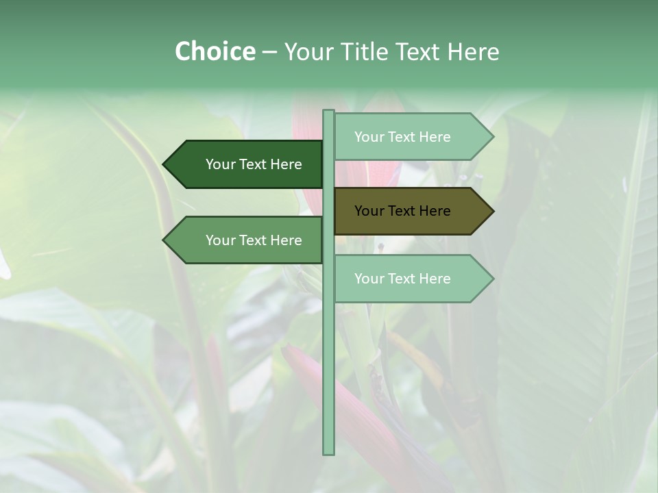Season Garden Blooming PowerPoint Template