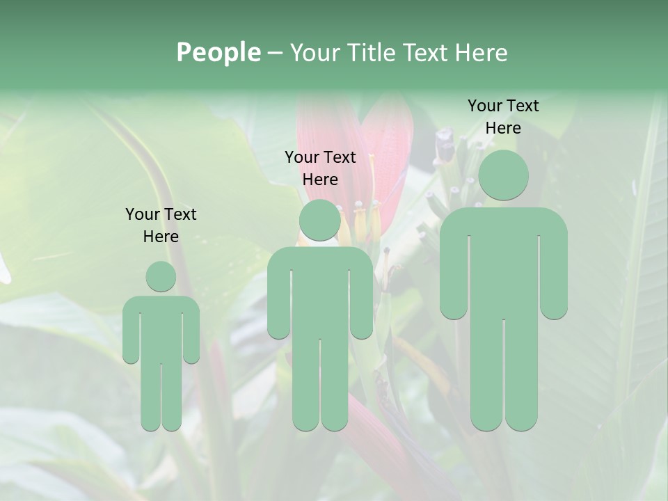 Season Garden Blooming PowerPoint Template