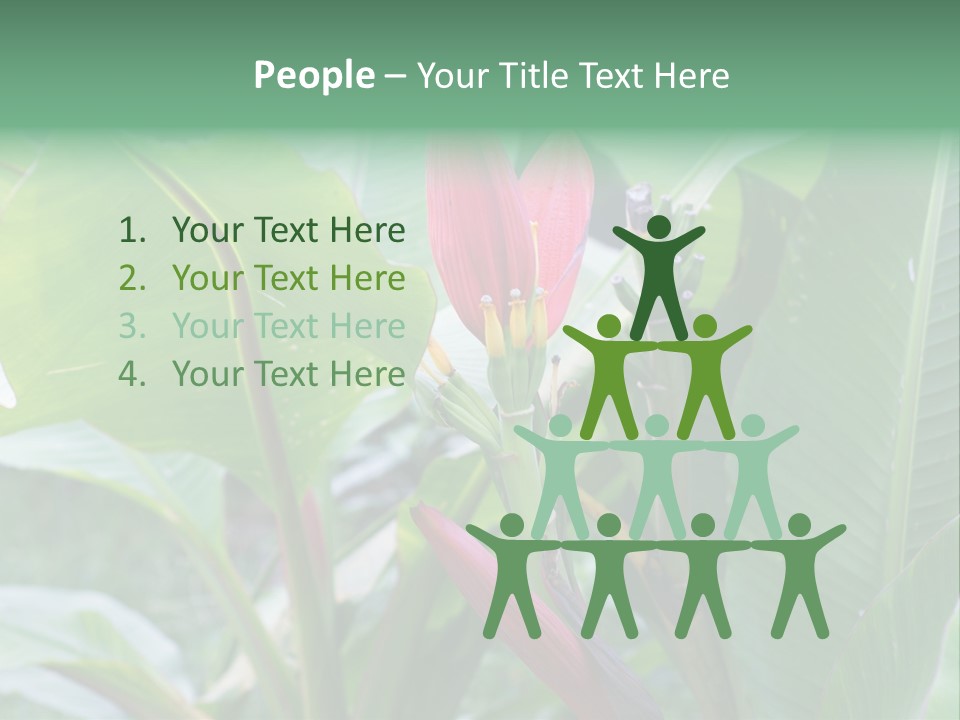 Season Garden Blooming PowerPoint Template