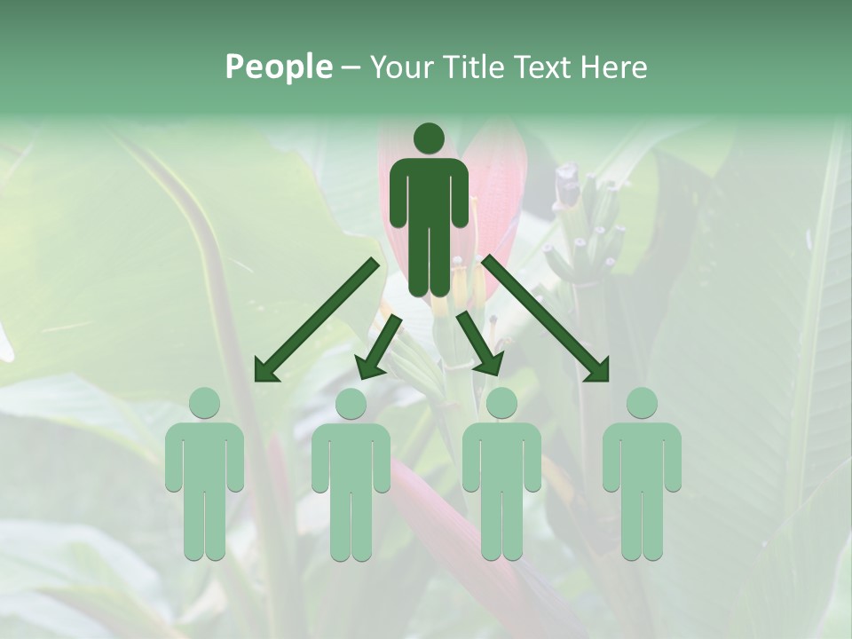 Season Garden Blooming PowerPoint Template