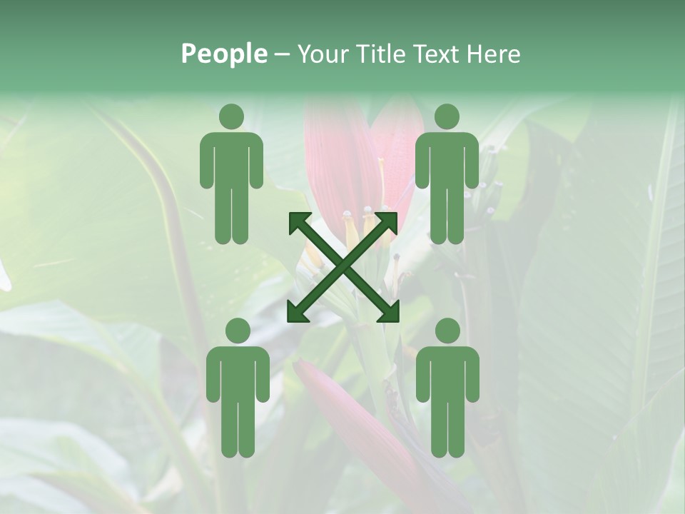 Season Garden Blooming PowerPoint Template