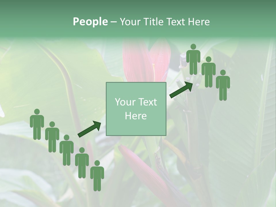 Season Garden Blooming PowerPoint Template