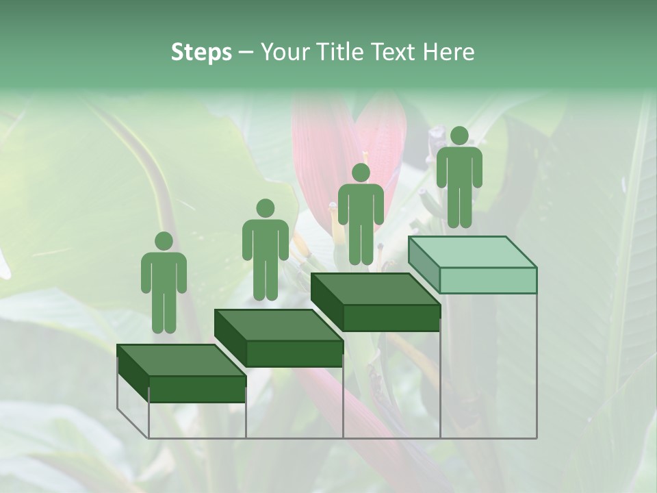Season Garden Blooming PowerPoint Template