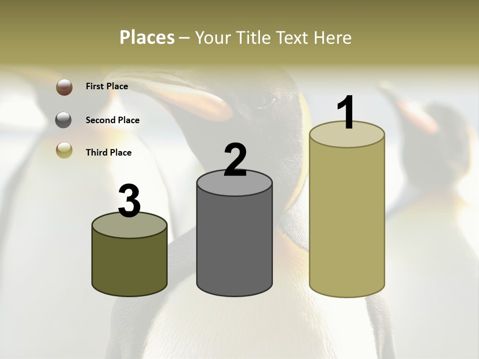 Stunning Cold Antarctic PowerPoint Template