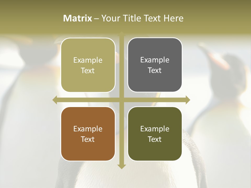 Stunning Cold Antarctic PowerPoint Template