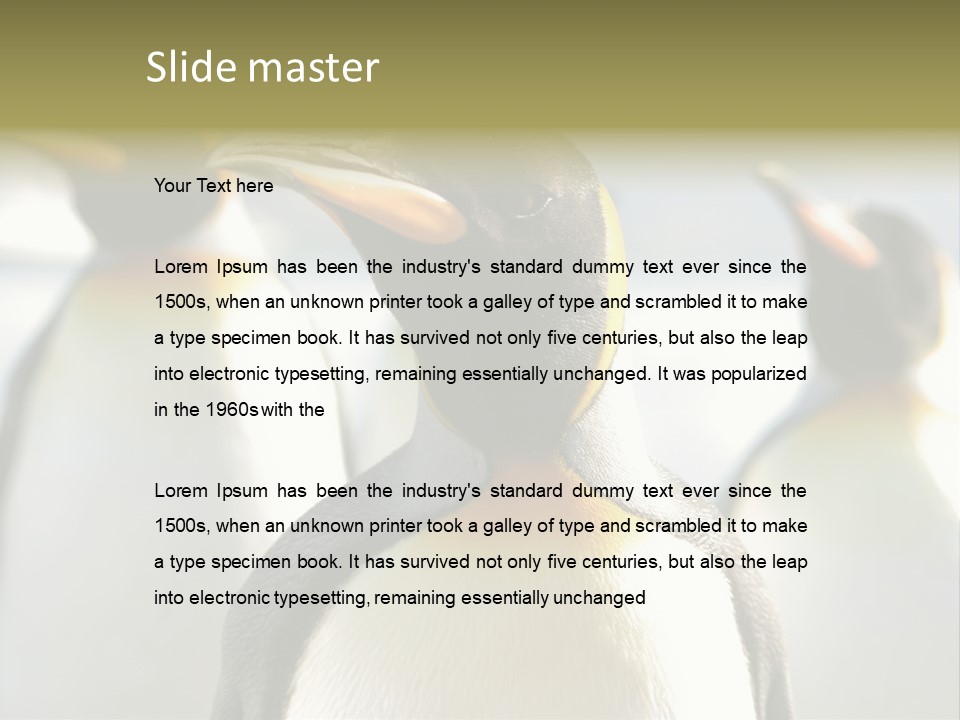 Stunning Cold Antarctic PowerPoint Template