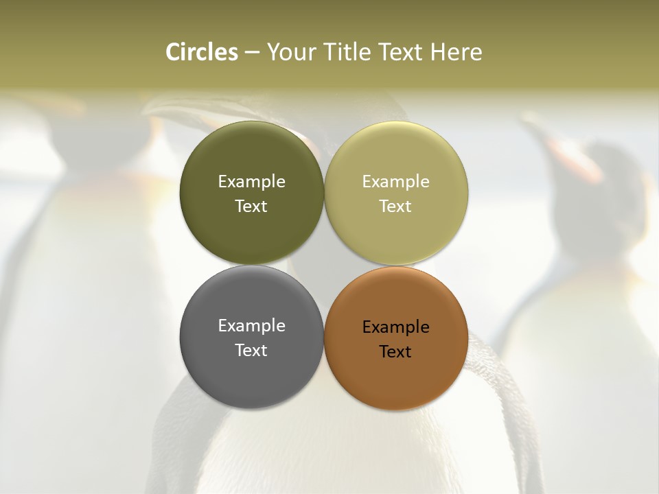 Stunning Cold Antarctic PowerPoint Template