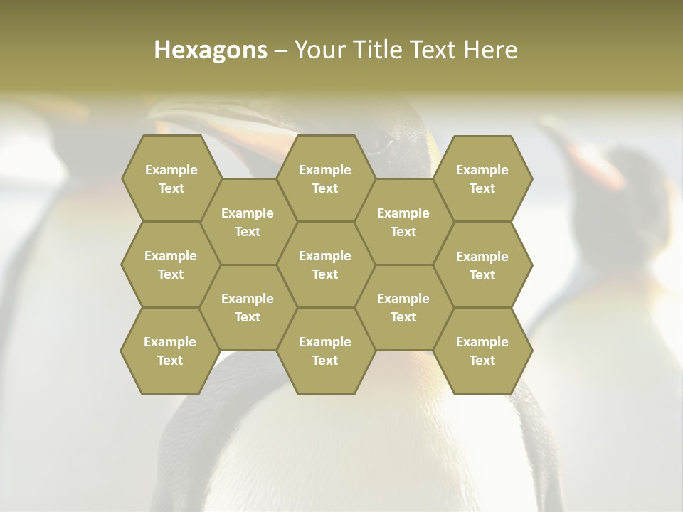 Stunning Cold Antarctic PowerPoint Template