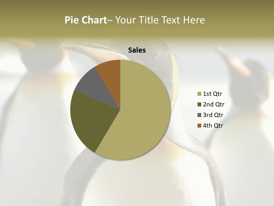 Stunning Cold Antarctic PowerPoint Template