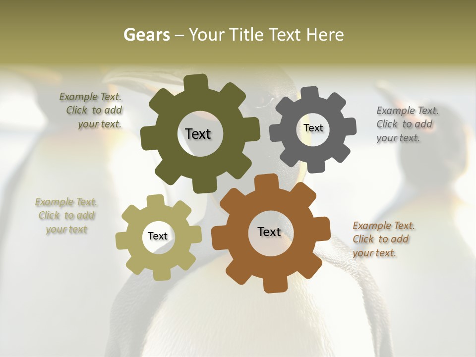 Stunning Cold Antarctic PowerPoint Template