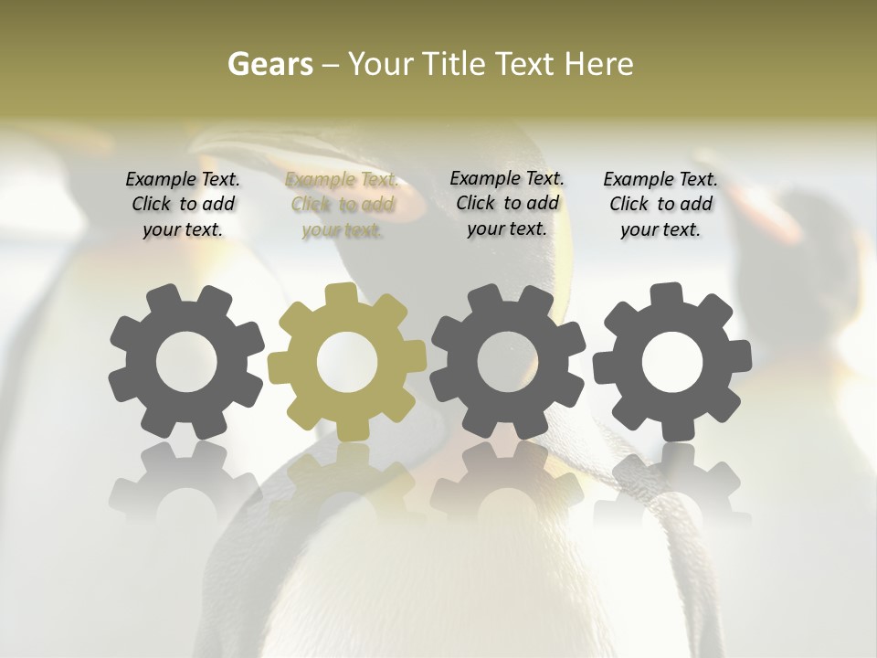 Stunning Cold Antarctic PowerPoint Template