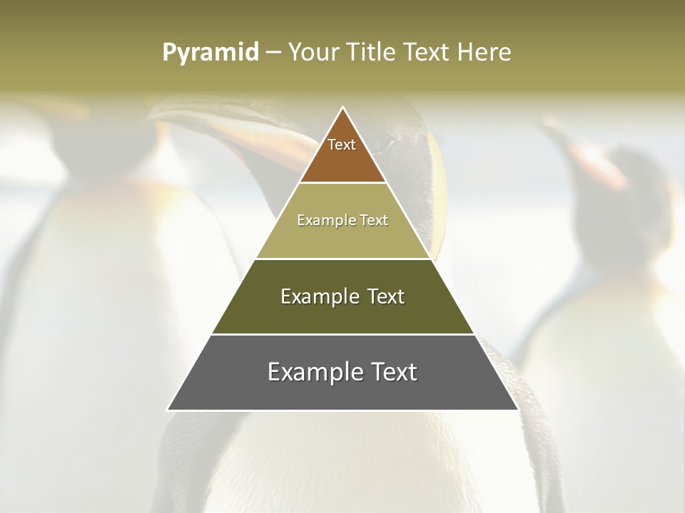 Stunning Cold Antarctic PowerPoint Template