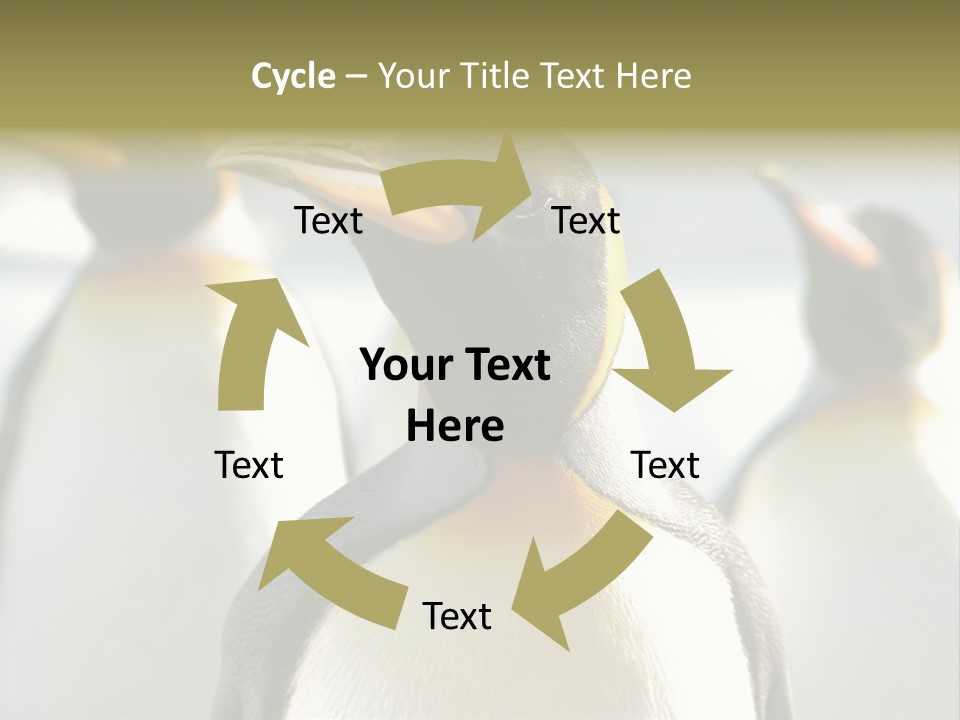 Stunning Cold Antarctic PowerPoint Template