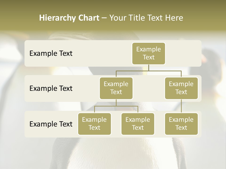 Stunning Cold Antarctic PowerPoint Template