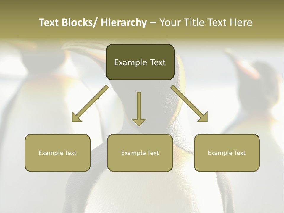 Stunning Cold Antarctic PowerPoint Template