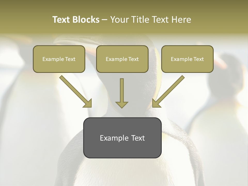 Stunning Cold Antarctic PowerPoint Template