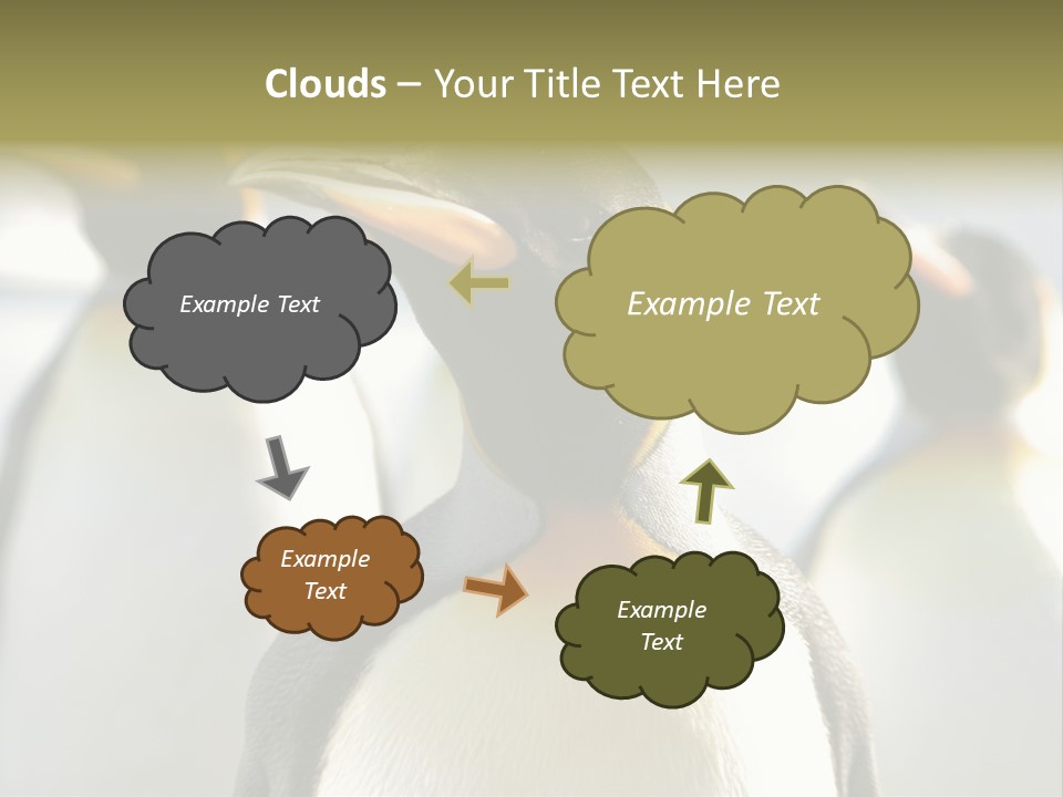 Stunning Cold Antarctic PowerPoint Template