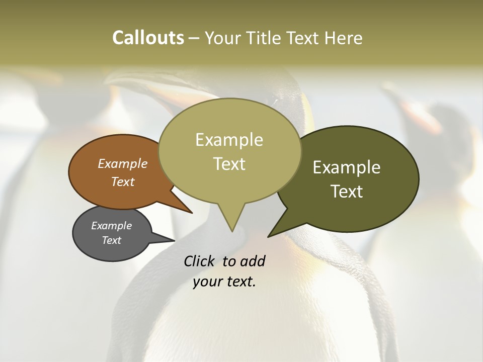 Stunning Cold Antarctic PowerPoint Template