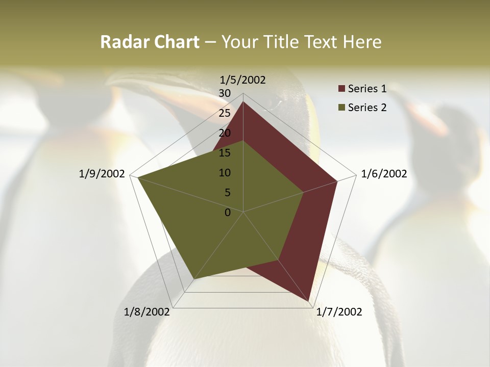 Stunning Cold Antarctic PowerPoint Template