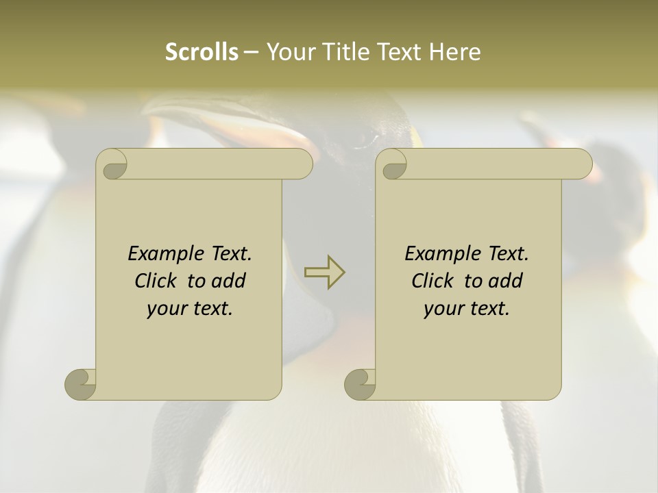 Stunning Cold Antarctic PowerPoint Template